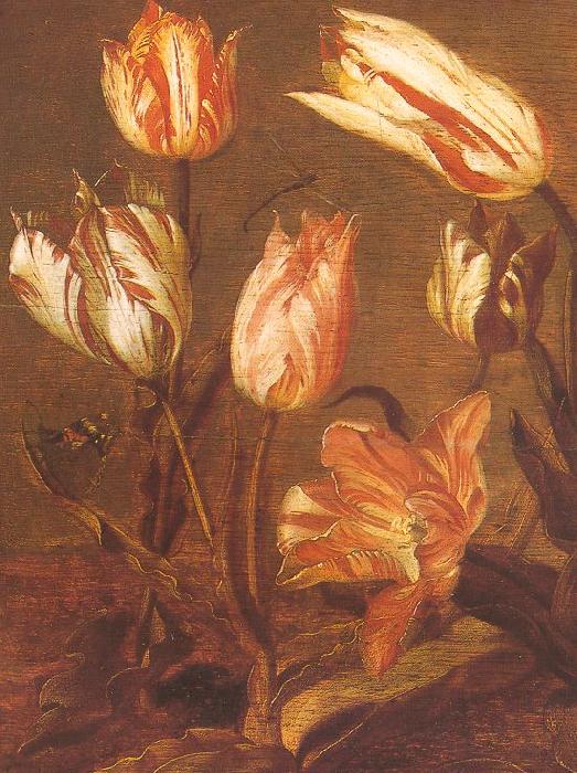 Jacob Gerritsz Cuyp Tulip Field